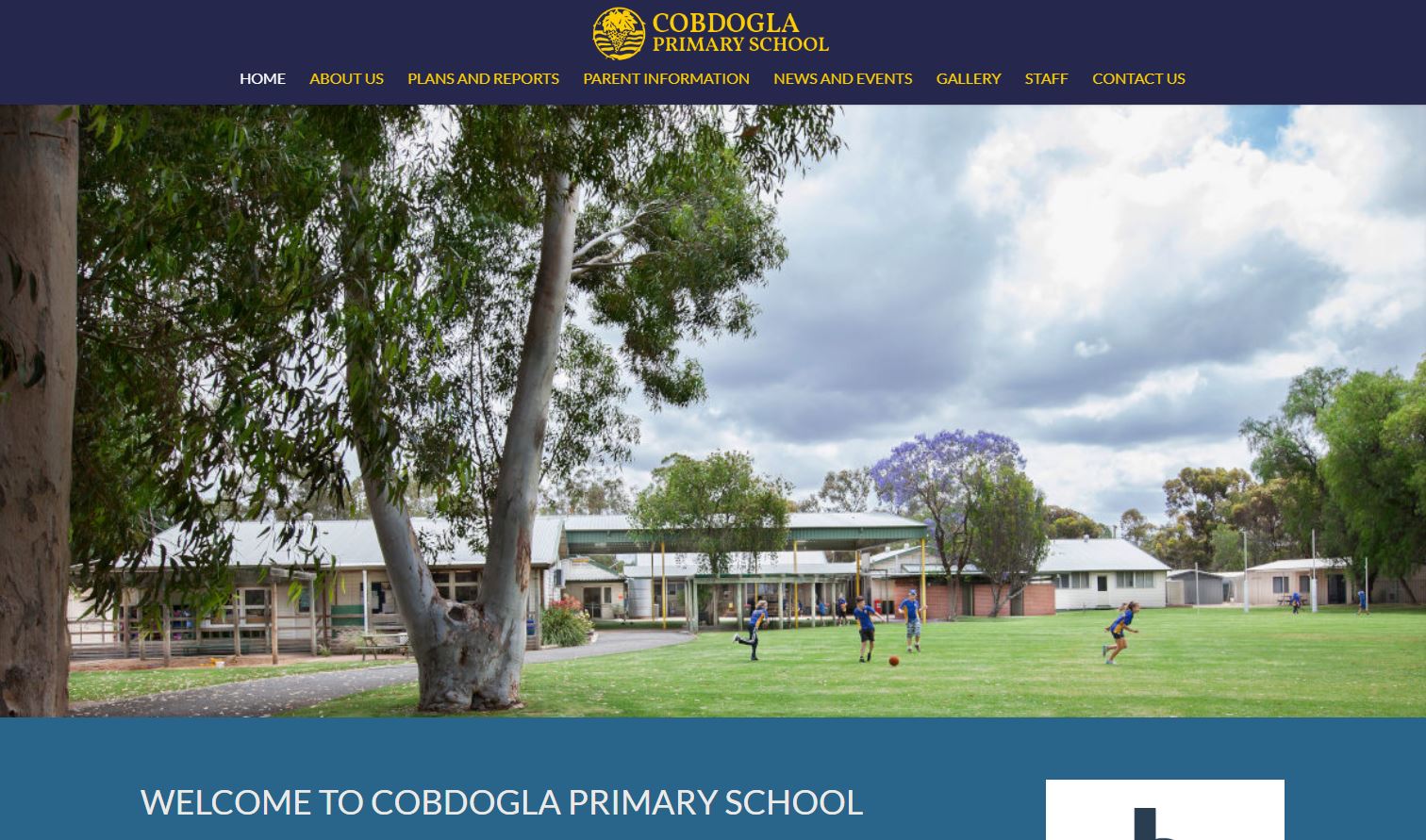 Cobdogla Primary School footy oval